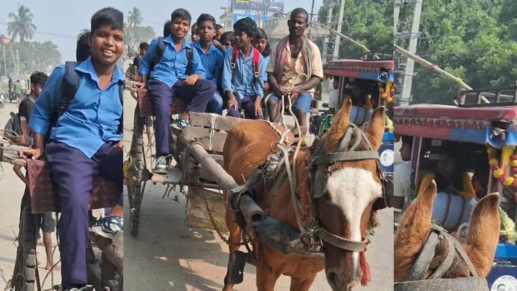 Inspiring-story-from-Bhagalpur-1767342435792