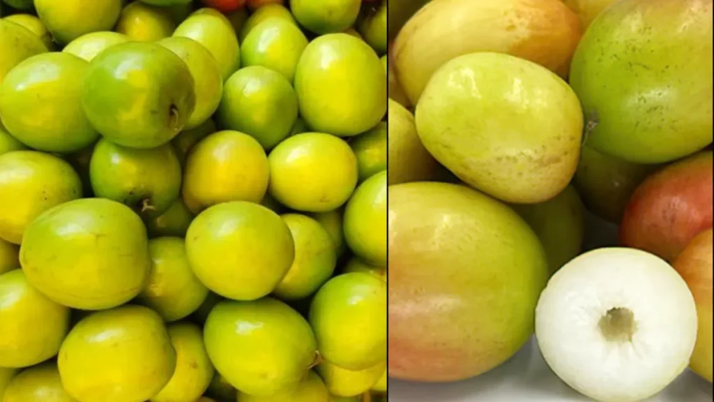 ber-khane-ke-fayde-27-01-2026-1769492070