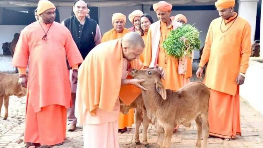 UP Cow Protection Centers, Yogi Government Scheme, Go Sanrakshan Kendra UP, Cow Shelter Scheme Uttar Pradesh, Yogi Adityanath News, UP Livestock Department, Cow Protection Fund UP, Keshav Prasad Maurya Statement, यूपी गो संरक्षण केंद्र, योगी सरकार योजना, बेसहारा गोवंश संरक्षण, यूपी पशुधन विभाग, गो आश्रय केंद्र योजना