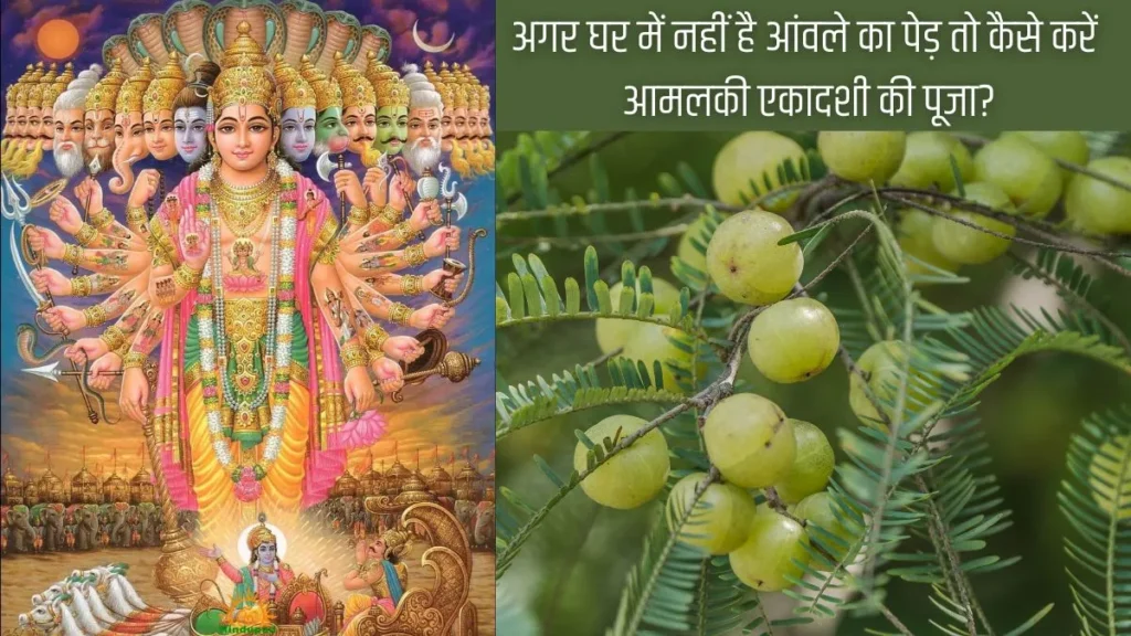 amalaki-ekadashi-1772073193