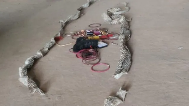 auriya-news-1770938915949_v