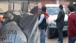 ghorkhpur-1772260451