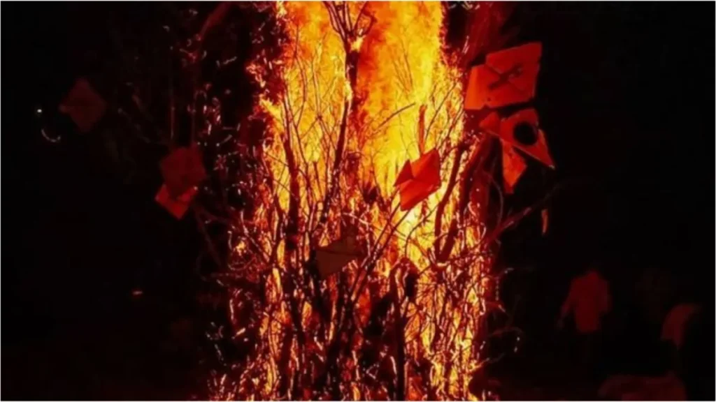 mixcollage-25-feb-2026-11-18-am-1010-1771998528