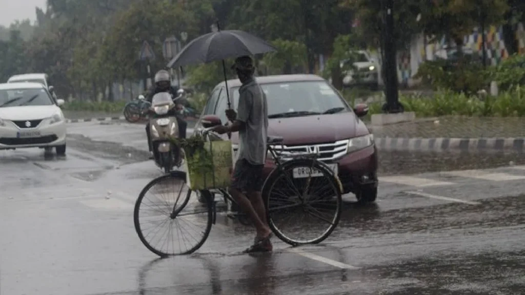 rainfall-3-1771637620