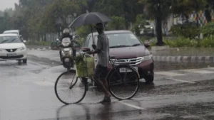 rainfall-3-1771637620