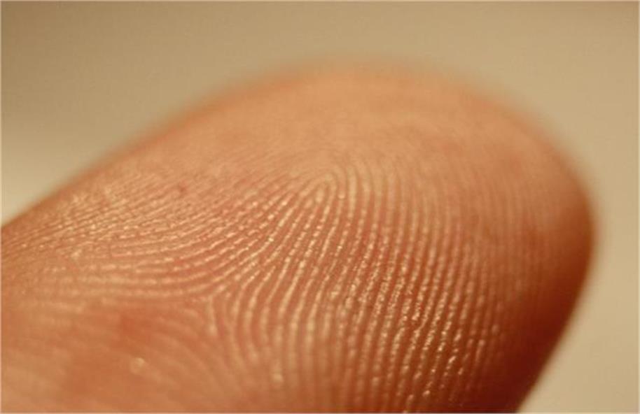 2026_3image_10_46_507778449fingerprints-ll