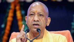 yogi-(11)-1773423153126_v