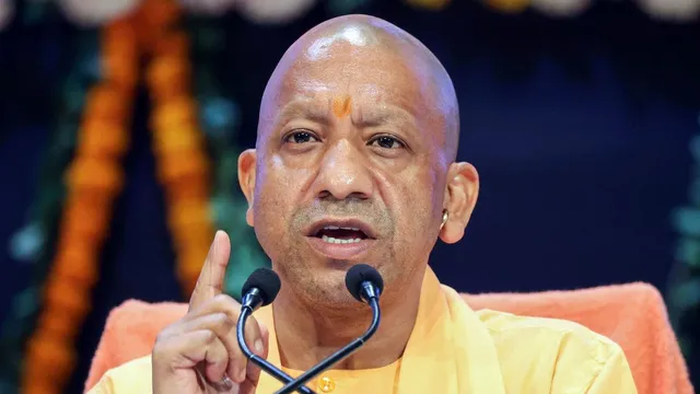 yogi-(11)-1773423153126_v