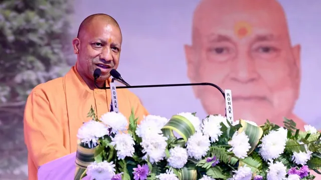 yogi-(8)-1773394570900_v