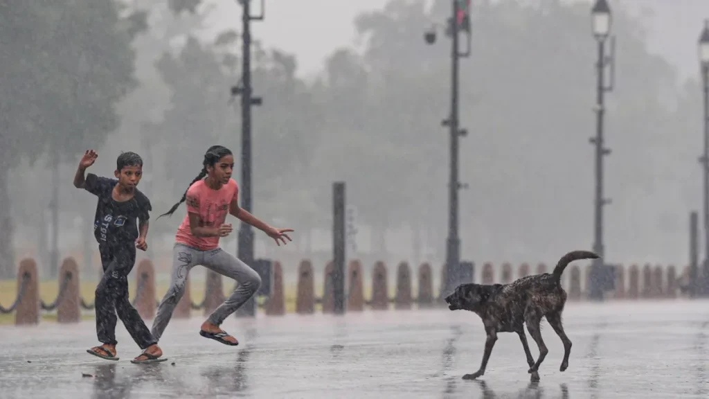 dog-attack-1777527754