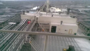 green-sanvi-1775269780