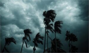 2026_5image_11_07_230996894monsoon-ll