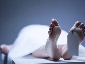 dead_1727668068018_1779298655295_d44d2015-df58-4394-898f-9cae13e284a3