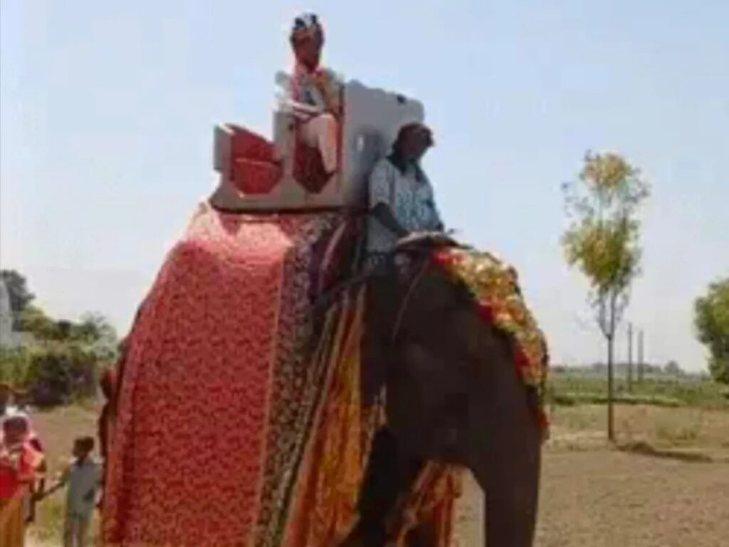 dulha__1777713740125_1777713740251
