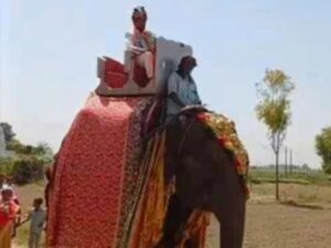 dulha__1777713740125_1777713740251