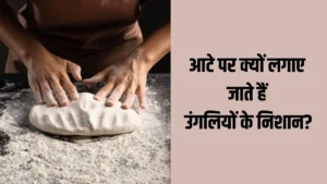 vastu-1-1778055395