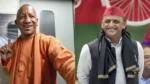 yogi-2-1782875363
