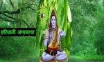 Hariyali-Amavasya