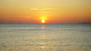 Untitled-113 (1)