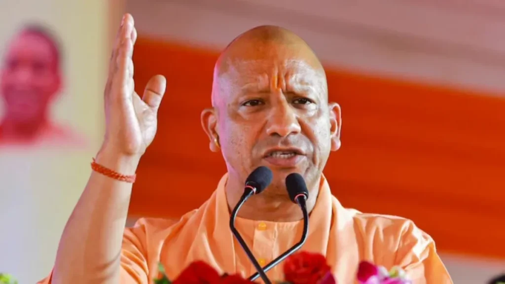 yogi-1790565837