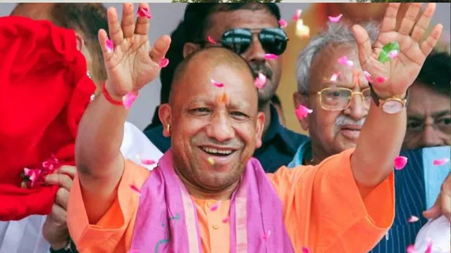 yogi_1-1788329217594_v