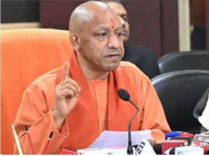yogi_1787535491315_1787535504633