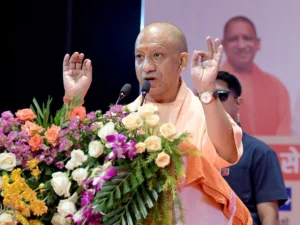 yogi_1790075234431_YAyT_17900752